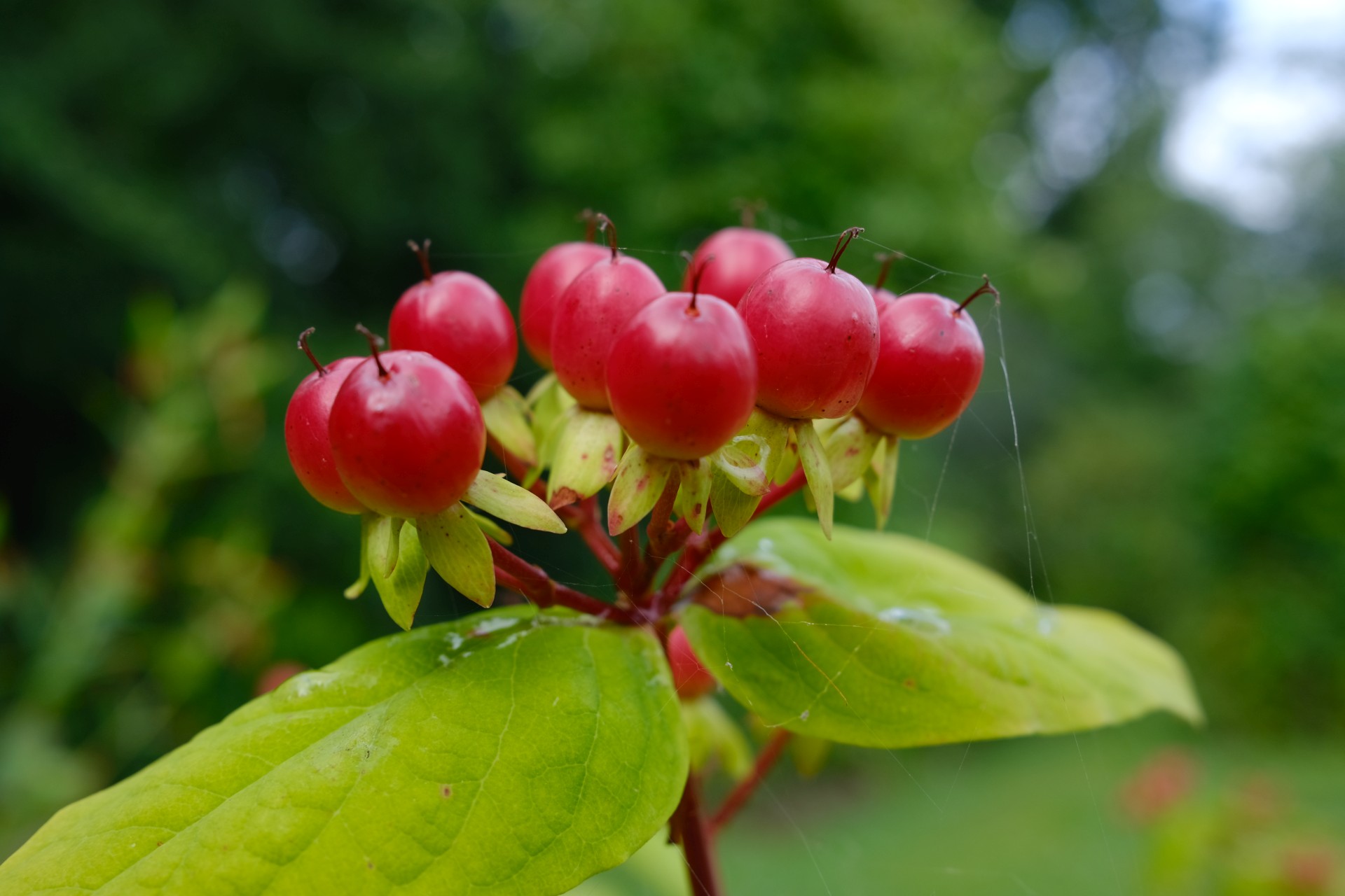 f/5.6 1/110sec ISO-160 23mm