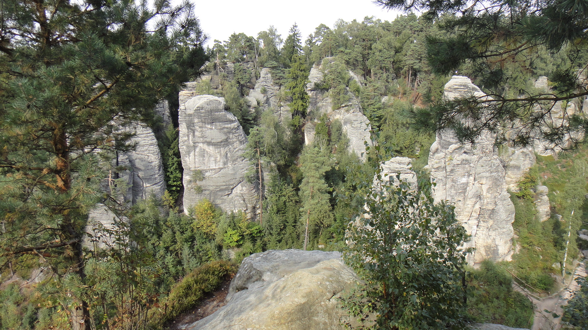 DSC00802