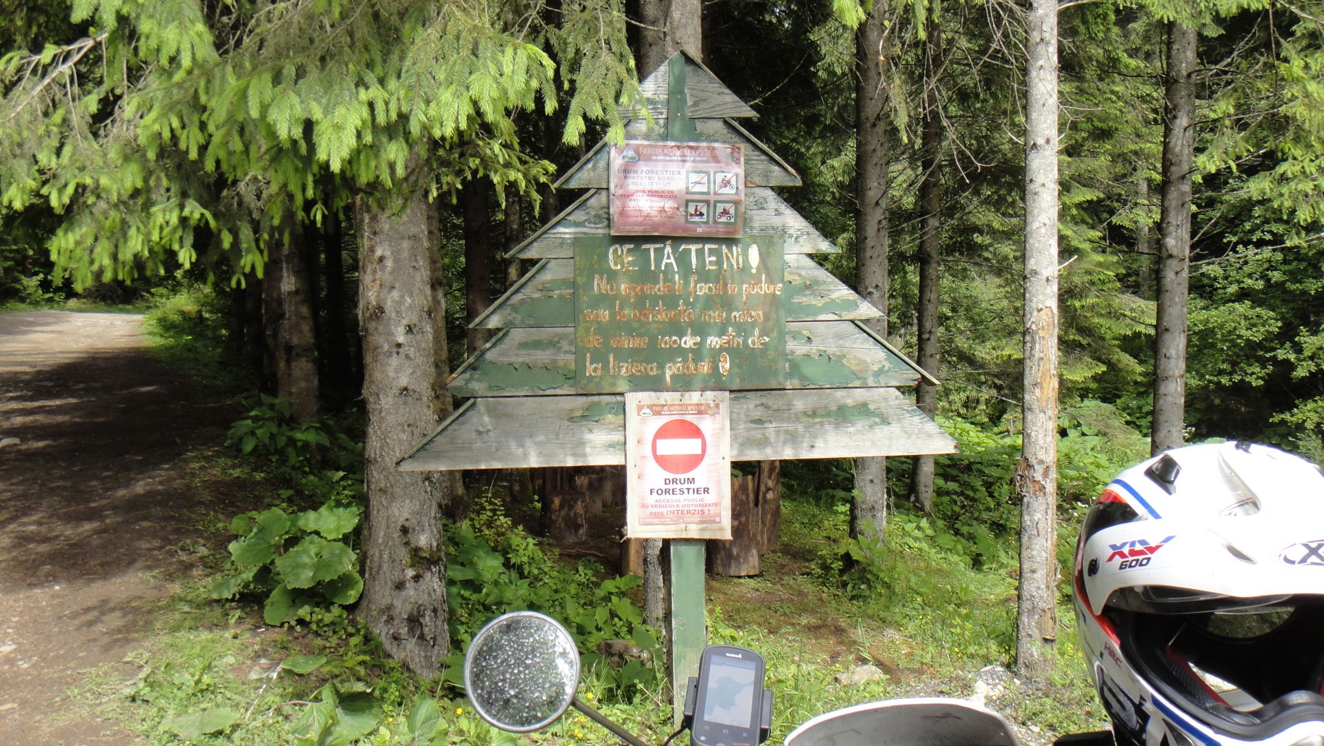 DSC01205