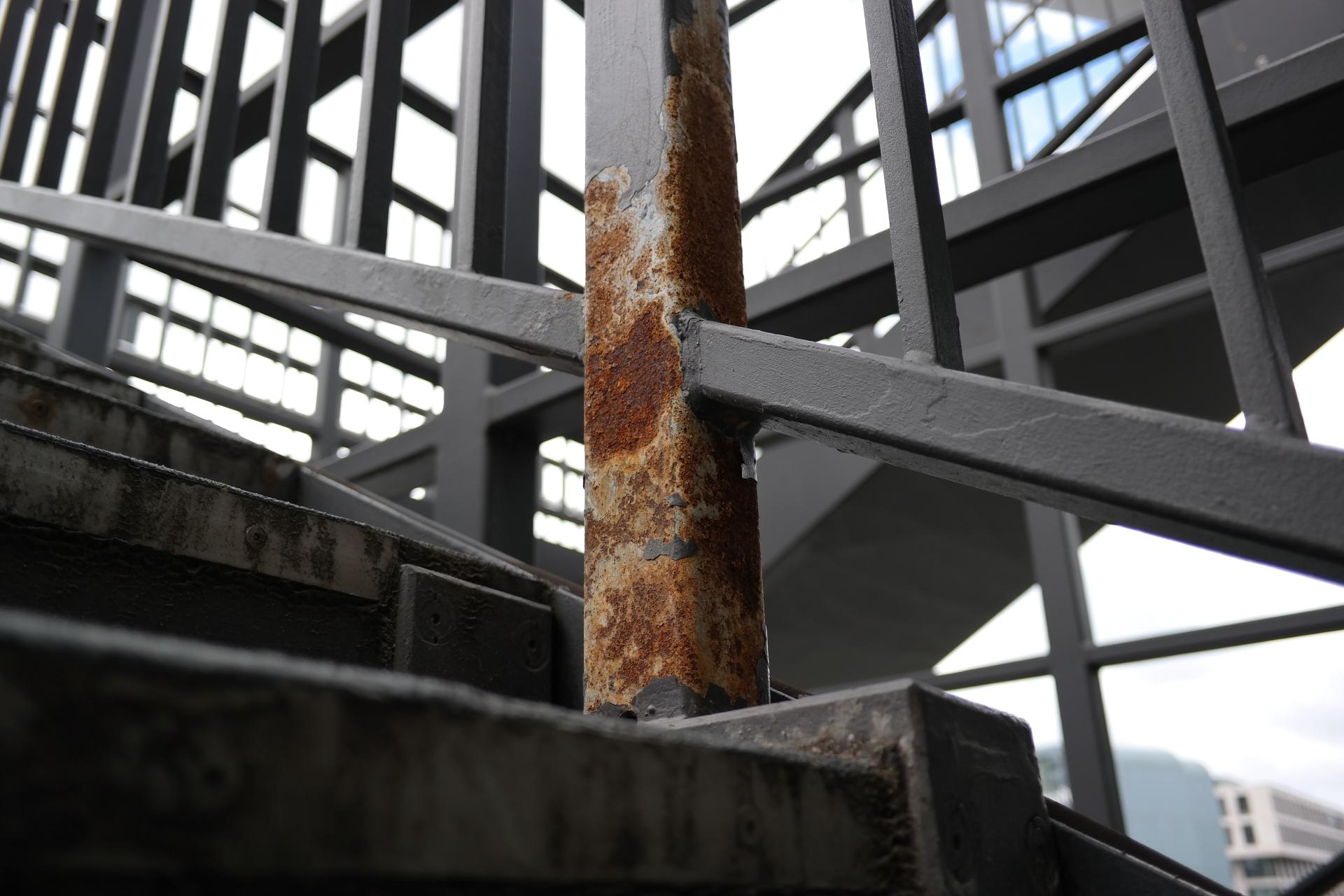 Rost