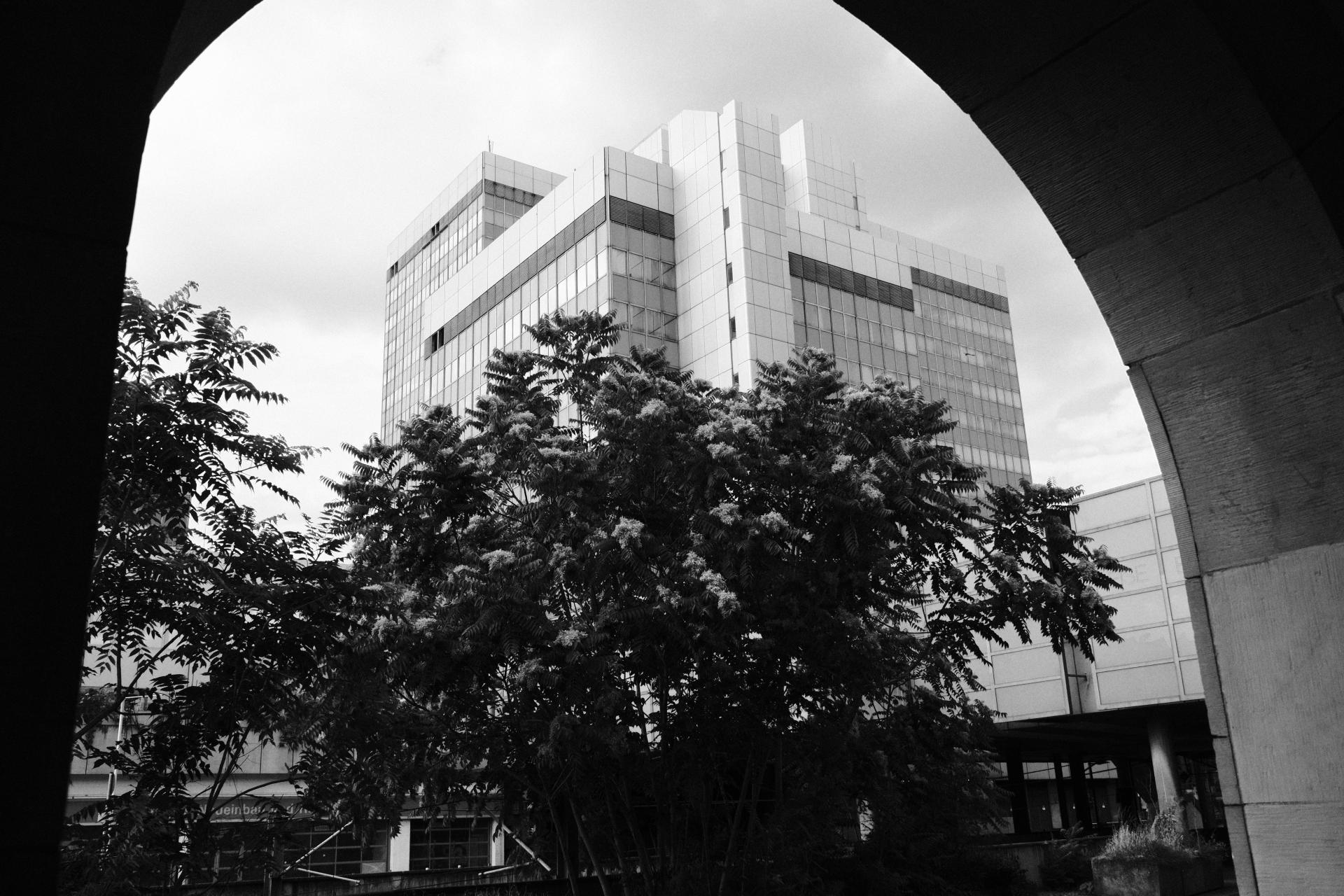 Stadthaus