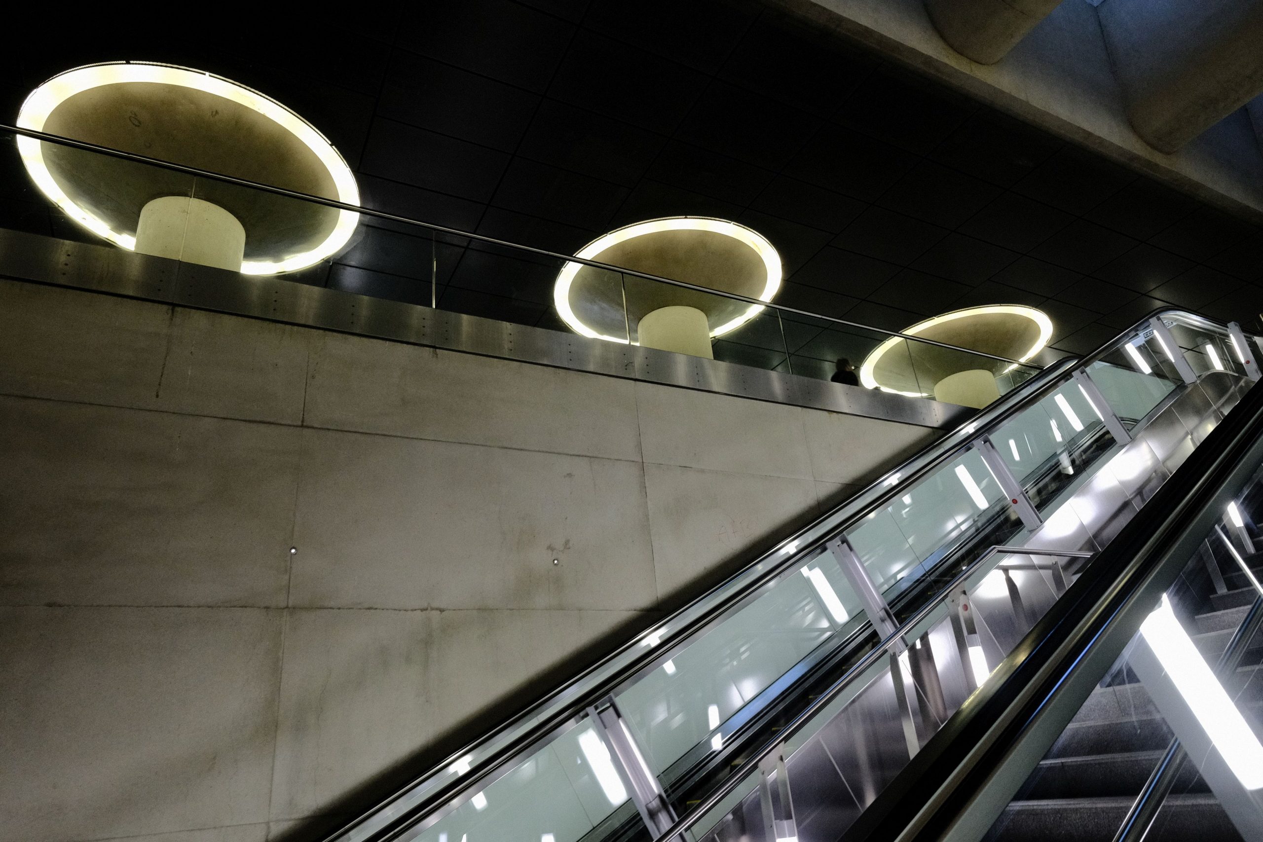 DSCF5019