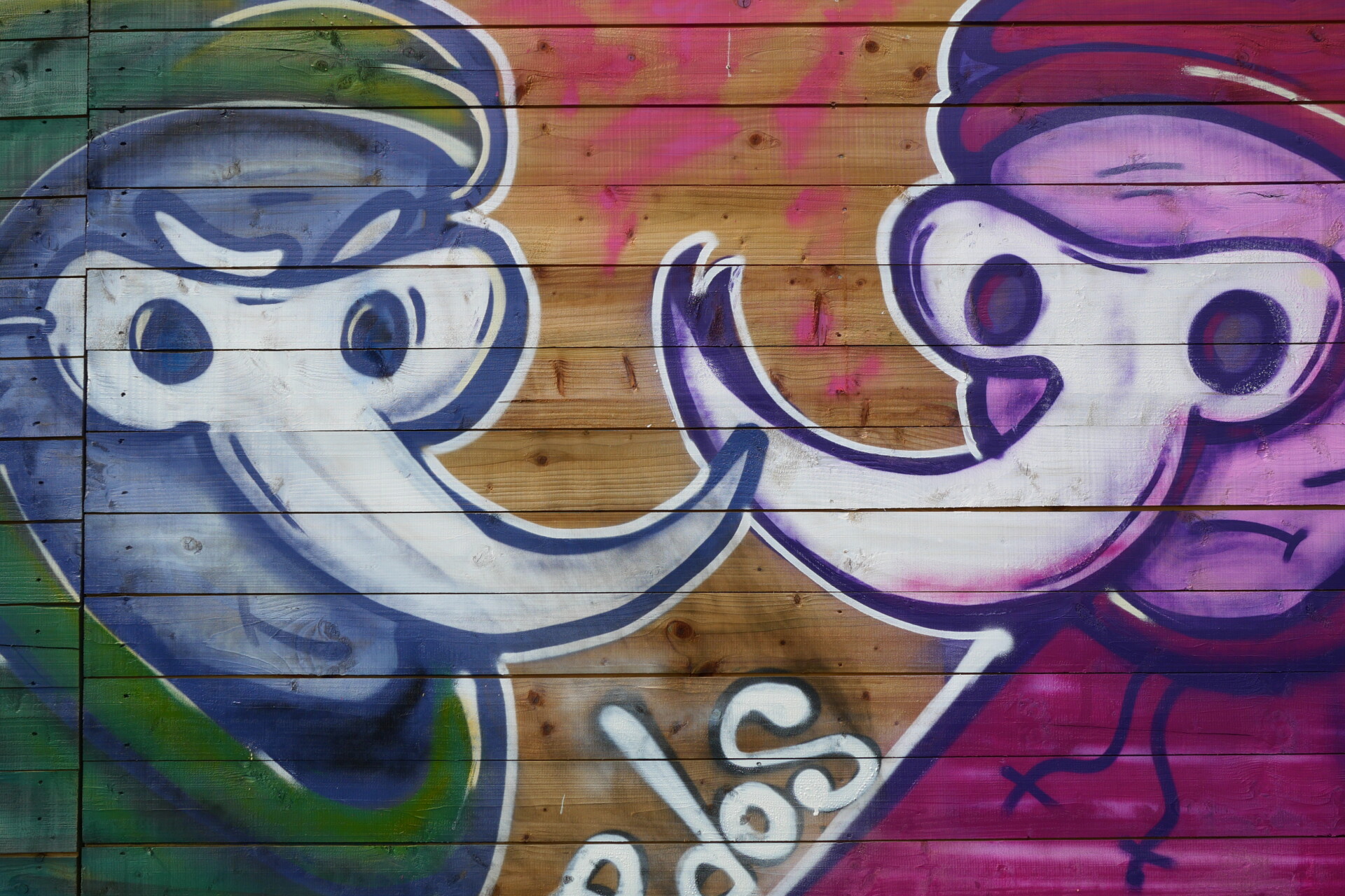 P5030783