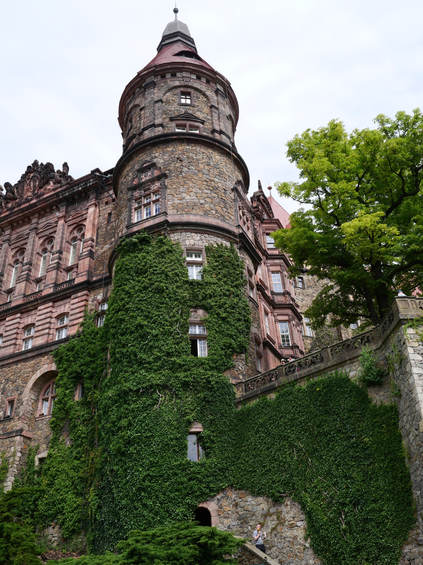 P5030938
