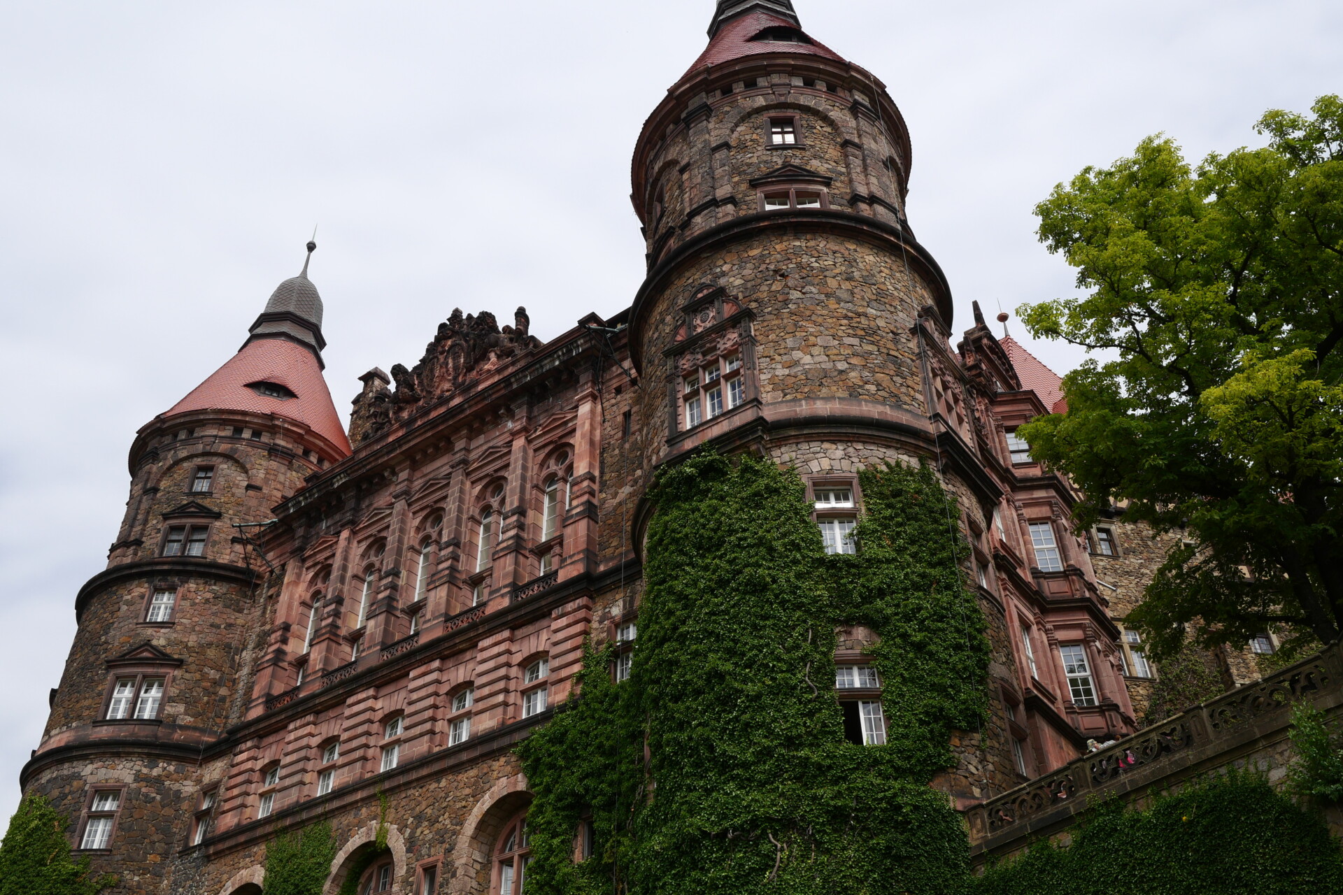 P5030939