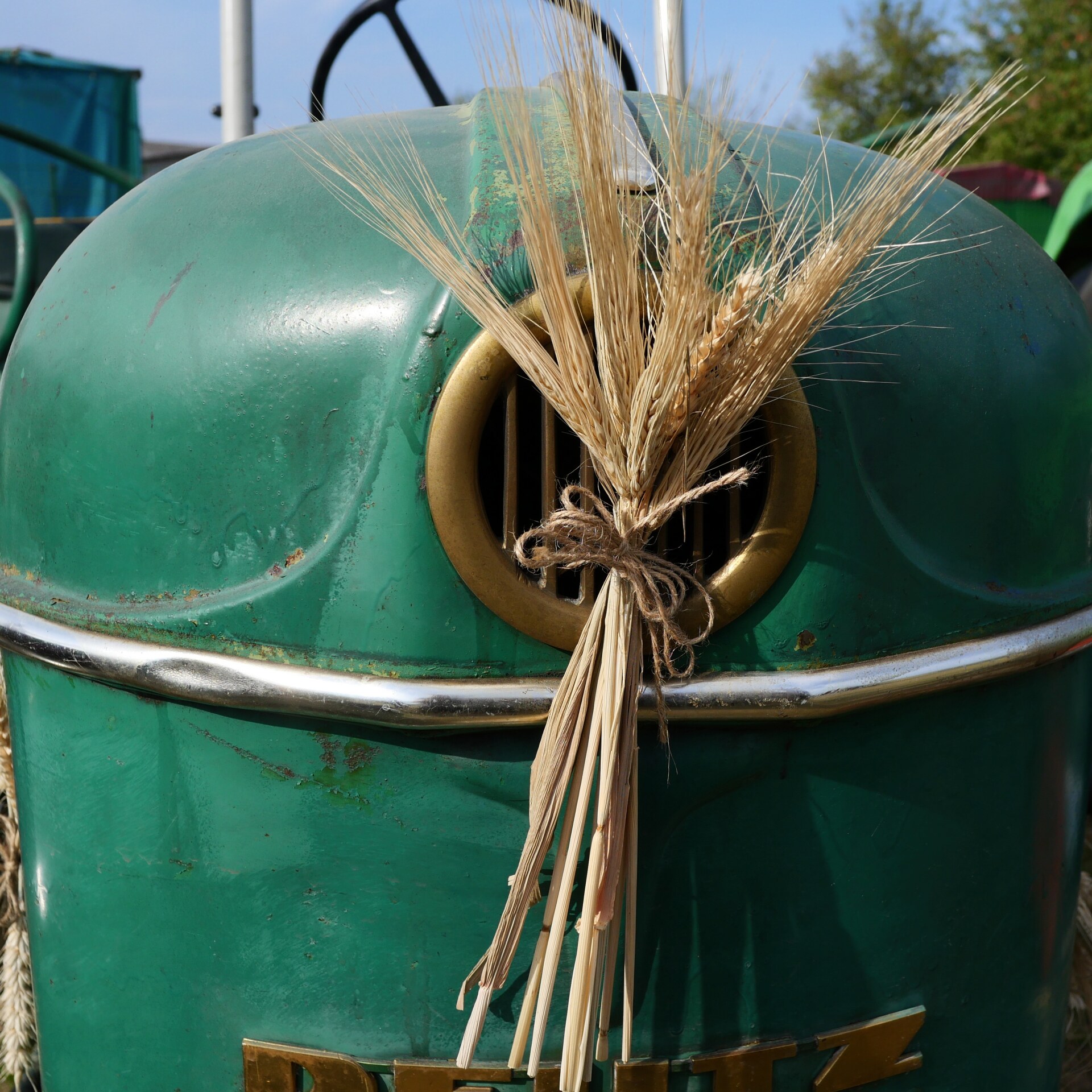 f/5 1/1000sec ISO-200 15mm