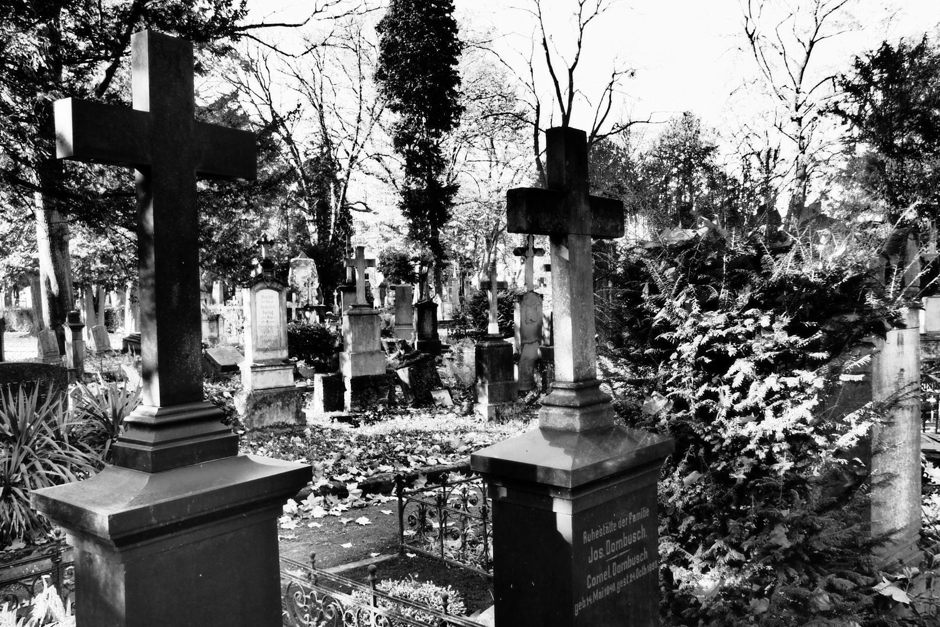 Alter Friedhof