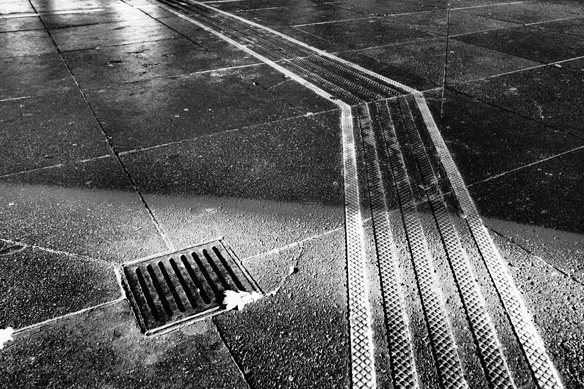 hier entlang im Stadthaus